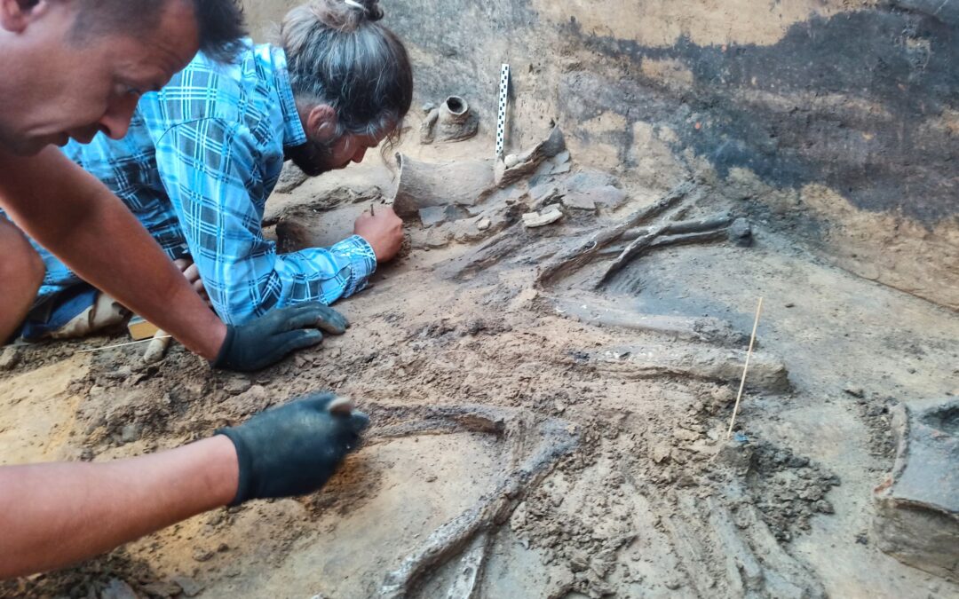 UR: Zakończyły się trwające blisko sześć tygodni archeologiczne prace wykopaliskowe